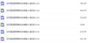 余世维讲座-余世维《如何塑造管理者的性格魅力-领袖性格》第二版-5D资源网