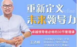 王达峰《重新定义未来领导力》卓越领导者必修的30节管理课-5D资源网