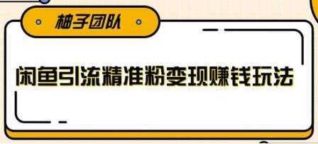闲鱼引流精准粉变现赚钱玩法，每天可以引流精准粉100+-5D资源网