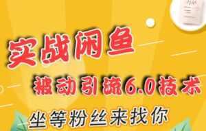 闲鱼被动引流技术6.0,坐等粉丝来找你,实战培训课程视频-5D资源网
