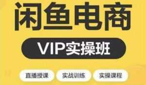 闲鱼副业项目月入过万进阶课程,教你掌握闲鱼电商所需的各项技能-5D资源网