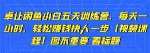 卓让《闲鱼项目小白五天训练营》每天一小时,轻松赚钱快人一步-5D资源网