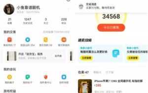 引流哥《闲鱼卖苹果手机项目》教你闲鱼卖货月入上万-5D资源网