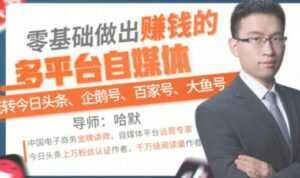 零基础做出赚钱的多平台自媒体,玩转今日头条-企鹅号-百家号-大鱼号-5D资源网