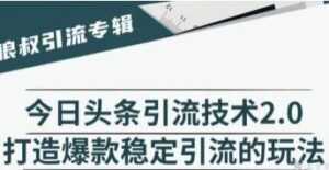 今日头条引流技术2.0,打造爆款稳定引流的玩法视频教程-5D资源网