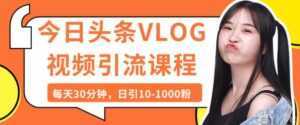 今日头条VLOG视频引流技术,每天30分钟,日引10-1000粉-5D资源网