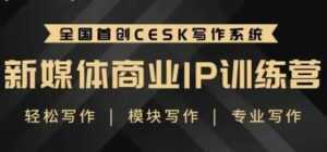 自媒体运营培训课程,新媒体商业IP训练营,轻松写作赚钱-5D资源网