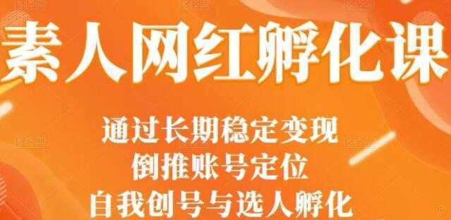 马大个《素人网红孵化课》通过长期稳定变现，自我创号与选人孵化-5D资源网