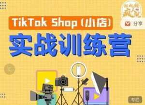疯人院《TIKTOK SHOP小店实战训练营》海外小店带货,从0到1掌握TK小店运营-5D资源网