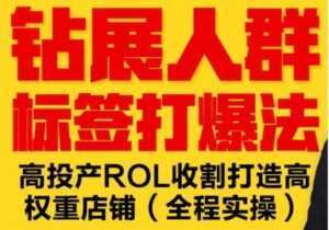 逐鹿《淘宝钻展人群标签打爆法》高投产ROL收割打造高权重店铺(全程实操)-5D资源网