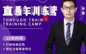 半度《淘宝直通车训练营》打破思维定势，锁定流量精准转化-5D资源网