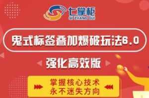 鬼脚七《鬼式标签叠加玩法6.0》强化高效版,提高UV价值,玩转搜索-5D资源网