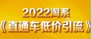 茂隆《直通车低价引流》教你低投入,高回报的直通车玩法-5D资源网