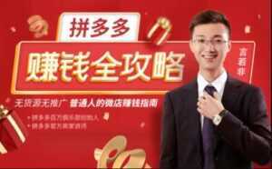 言若非《拼多多赚钱全攻略》培训课程,带你玩赚拼多多,每月多赚3万块-5D资源网