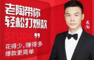 韭菜电商《老陶带你轻松打爆款》花的少,赚的多,轻松玩赚拼多多-5D资源网