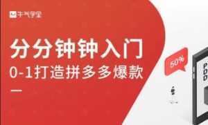 牛气学堂《拼多多实战运营指南》培训课程-5D资源网