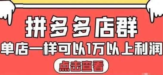 大凯电商《拼多多店群运营》单店一样可以产出1万5以上利润-5D资源网