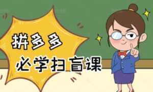 《拼多多商家开店入门教程》0基础新手小白扫盲课-5D资源网