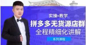 圣淘电商《拼多多无货源店群》实操教学,全程精细化讲解-5D资源网