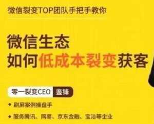 鉴锋《微信生态如何低成本裂变获客》助你进阶微信裂变高手-5D资源网