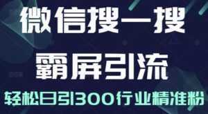 《微信搜一搜霸屏引流课》被动精准引流，轻松日引300行业精准粉-5D资源网