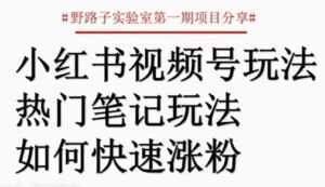 小红书视频号项目,直接上手操作,月入过万-5D资源网