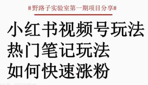 小红书视频号项目，直接上手操作，月入过万-5D资源网