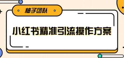 小红书精准引流操作方案，能够直接落地实操引流技术-5D资源网