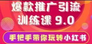 小红书怎么推广,小红书爆款推广引流训练课9.0,带你一部手机即可月赚万元-5D资源网