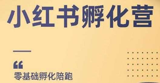小红书撸金项目，教你如何快速起号获得曝光，做到月躺赚在3000+-5D资源网
