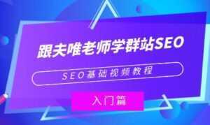 夫唯《群站seo优化教程视频》SEO基础视频教程-5D资源网