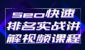 《seo快速排名》实战讲解视频教程-5D资源网