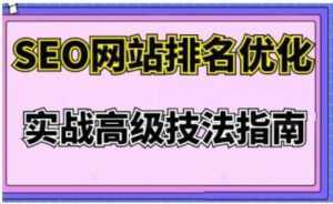 樊天华《SEO网站排名优化》实战高级技法指南-5D资源网
