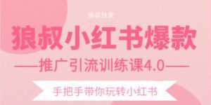 狼叔小红书爆款推广引流训练课4.0，手把手带你玩转小红书-5D资源网