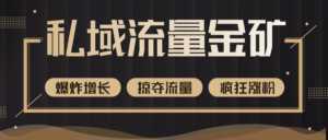 价值2200元私域流量的金矿,循环获取各大媒体精准流量,无限复制网红的精准流量!-5D资源网