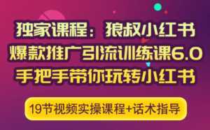 狼叔小红书爆款推广引流训练课6.0，手把手带你玩转小红书-5D资源网