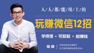 玩赚微信12招:这样玩微信,没钱没人脉也能在家多赚10万-5D资源网