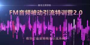 黄岛主·FM音频引流特训营2.0:独家引流模式,单账号50W+播放量,轻松变现-5D资源网