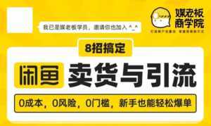 媒老板8招搞定闲鱼卖货与引流:3天卖货10万,3个月加粉50万-5D资源网