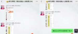 何公子:7天玩转微信公众号被动引流系统,日引100+精准流量-5D资源网