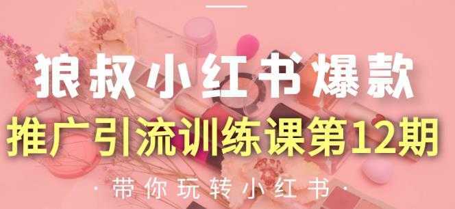 图片[1]-狼叔小红书爆款推广引流训练课第12期，手把手带你玩转小红书-5D资源网