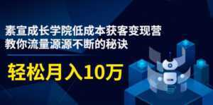 素宣成长学院低成本获客变现营,教你流量源源不断的秘诀,轻松月入10万-5D资源网