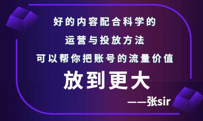 张sir账号流量增长课，告别海王流量，让你的流量更精准-5D资源网
