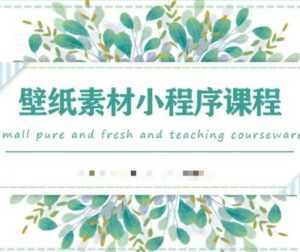 闪闪壁纸号运营教程，抓住图文风口，快速吸粉变现-5D资源网