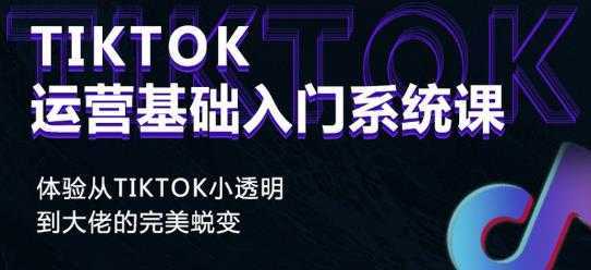 视频号批量引流，霸屏行业关键词（基础班）全面系统讲解视频号玩法-5D资源网