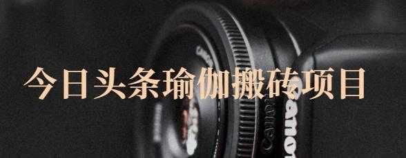猎人社区·今日头条瑜伽搬砖项目，单号一天几十收入，可以批量操作！-5D资源网