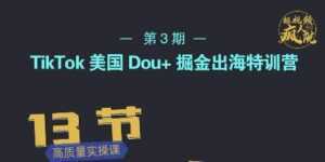 TikTok美国Dou+掘金出海特训营,美国dou+成功投放95%-5D资源网