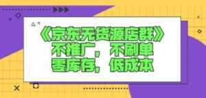 诺思星商学院京东无货源店群课:不推广,不刷单,零库存,低成本-5D资源网