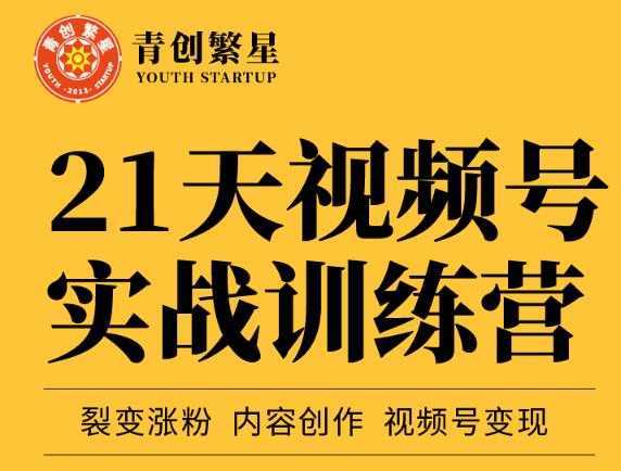 张萌21天视频号实战训练营，裂变涨粉、内容创作、视频号变现 价值298元-5D资源网