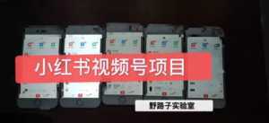 野路子小红书视频号1.0项目,直接上手操作就能赚钱的视频号项目-5D资源网